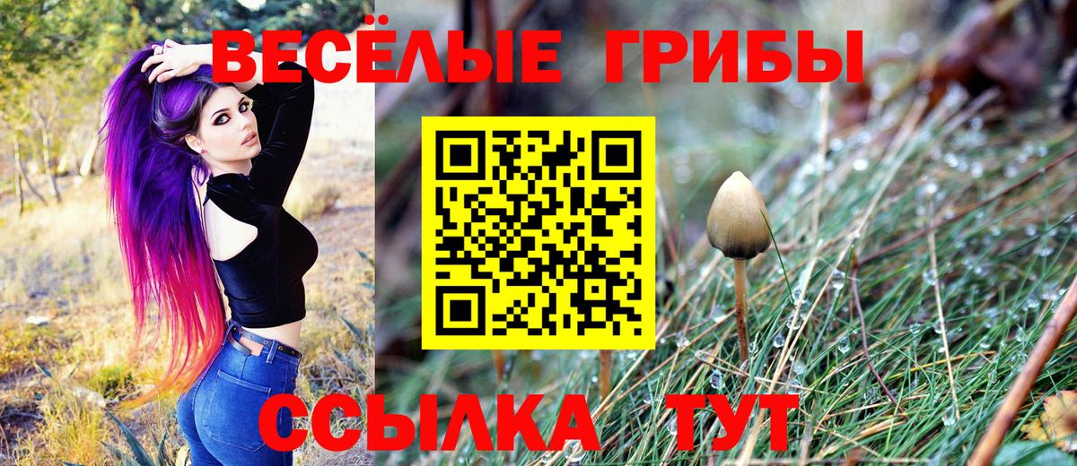 Псилоцибиновые грибы Cubensis  Вход с VPN  Вятские Поляны 